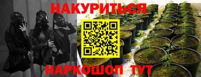 a pvp Тула